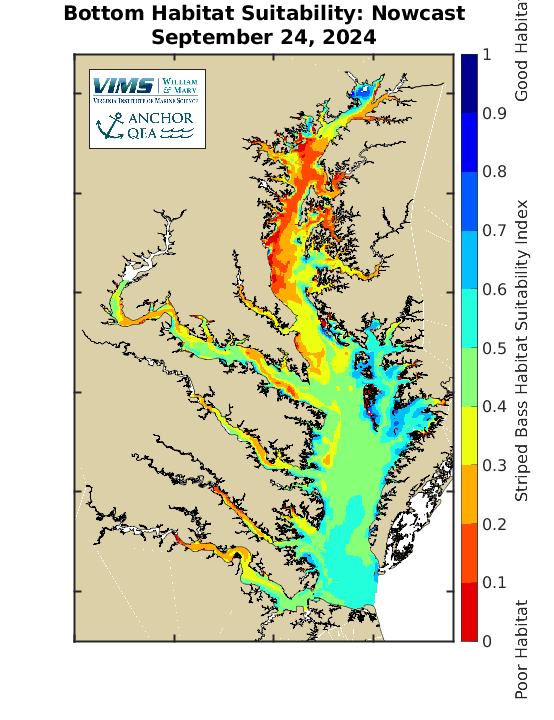 Striped Bass Habitat Virginia Institute of Marine Science